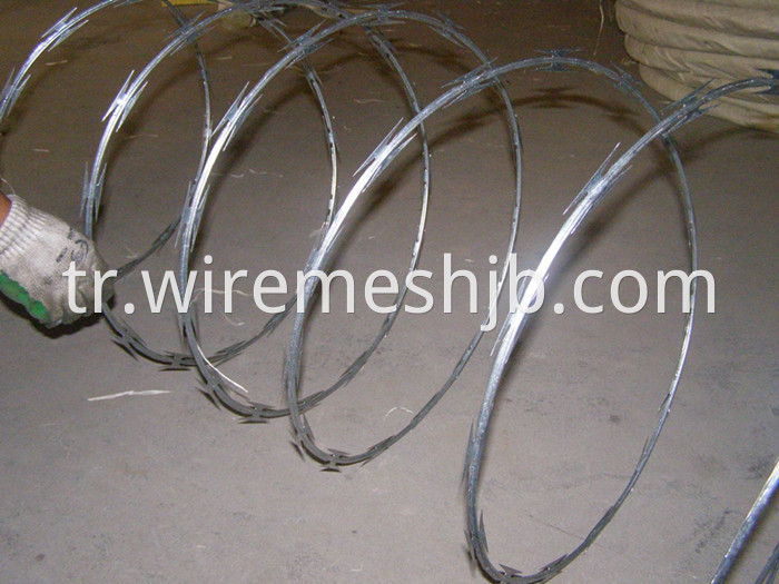 Razor Wire Roll